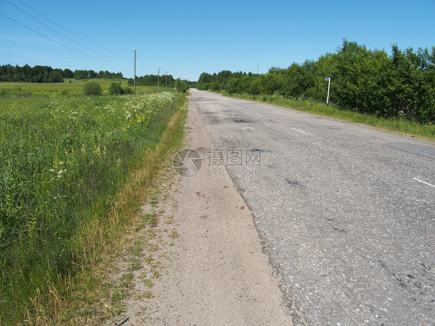 森林沥青路国家赛道太阳地平线运输速度路线交通场景运动图片