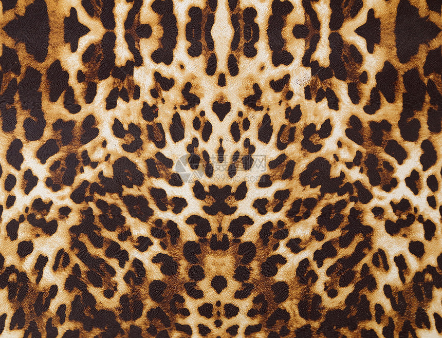 带有豹纹理的背景材料纹理棉布野生动物猎豹织物纺织品老虎动物异国图片