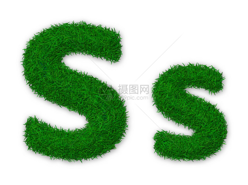 草信 S首都生态字体环境打字稿绿色小号插图小写图片