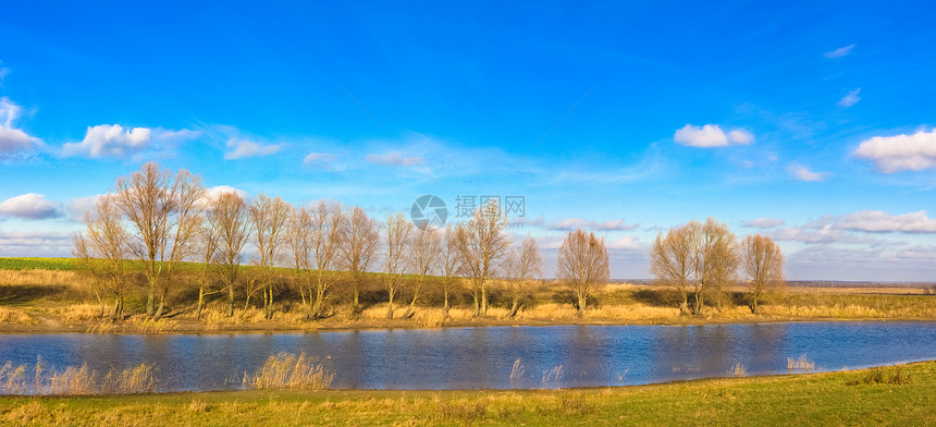 阳光日风秋秋天的风景木头植物群蓝色国家农村环境池塘全景森林天空图片