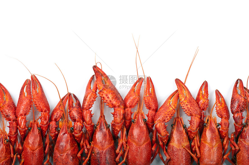 许多红龙虾红色团体食物海鲜图片