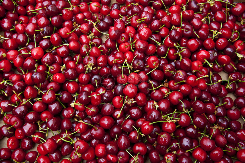 红樱桃食物红色水果市场果味图片