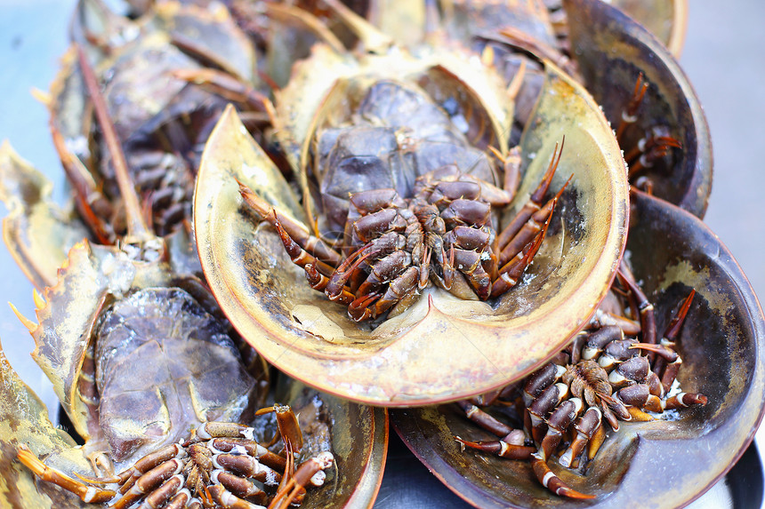 泰国市场上的鲜马蹄螃蟹图片