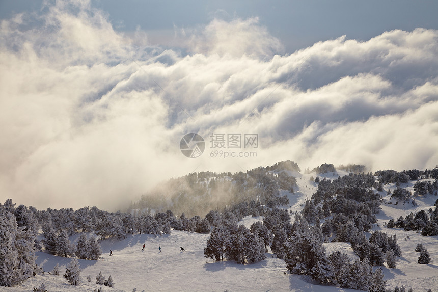 滑雪闲暇运动树木阴霾假期爬坡高山活动旅行森林图片