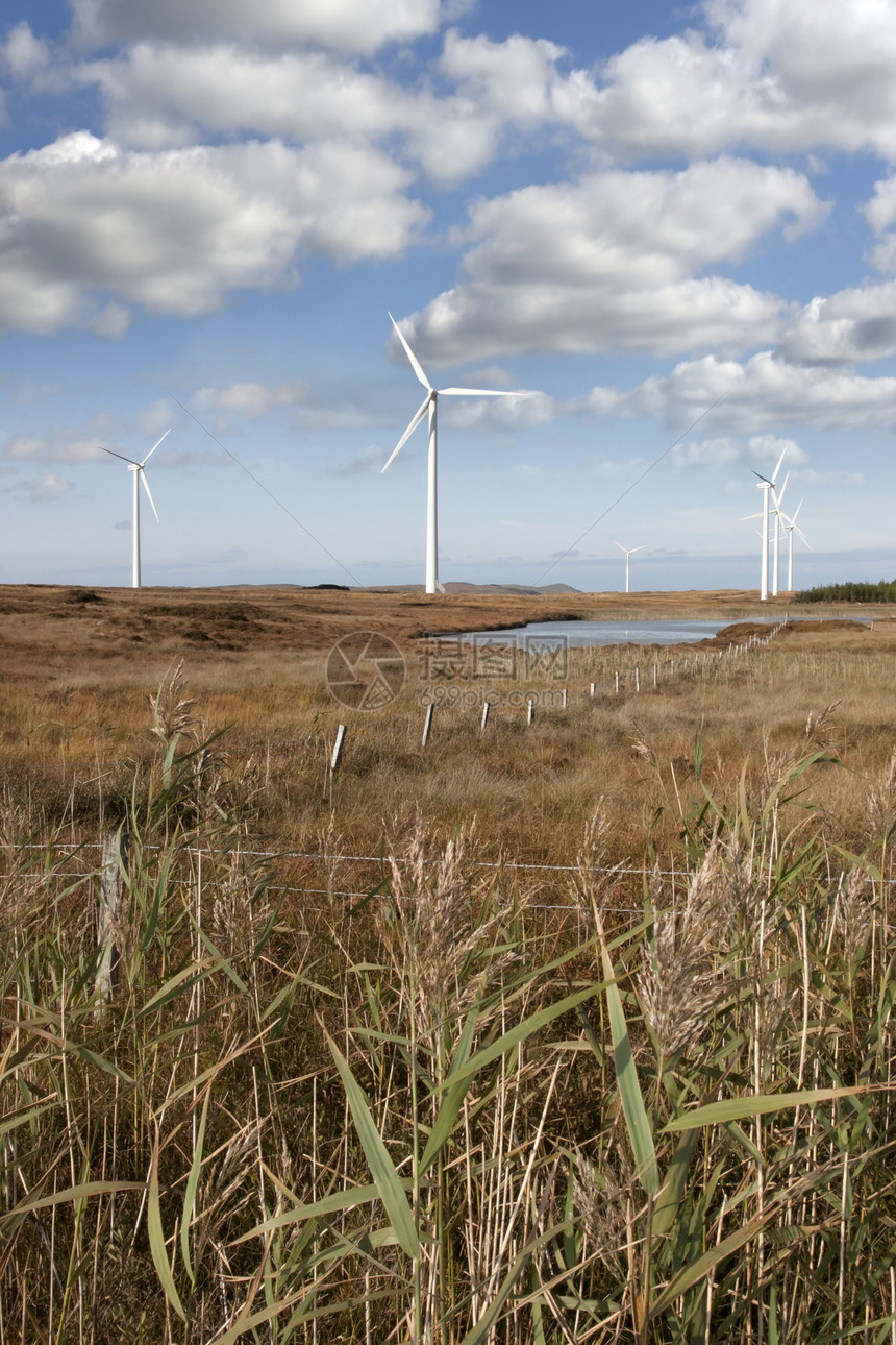 高草和带风力涡轮机的沼泽地图片