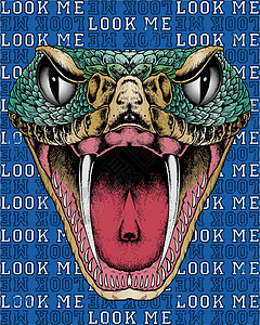 蛇危险獠牙爬虫插图牙齿毒液绘画渲染背景图片