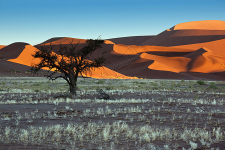 沙漠 - 纳米比亚索苏夫莱高清图片
