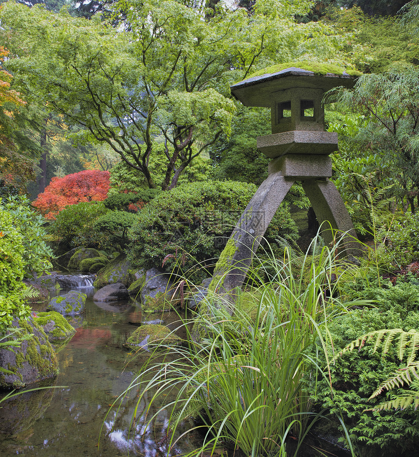 由水流组成的日本石灯侠园林灌木植物蕨类花岗岩灯笼溪流雕塑绿化反射图片