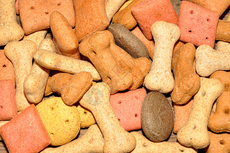 狗饼干营养食物宠物骨头背景图片