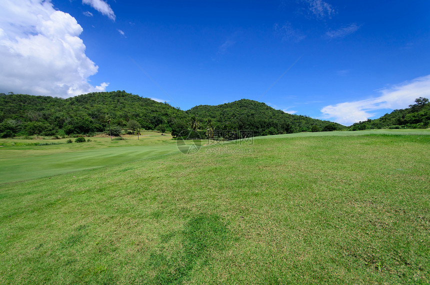 绿地和蓝天空天气草地植物农村蓝色草原国家牧场场景叶子图片