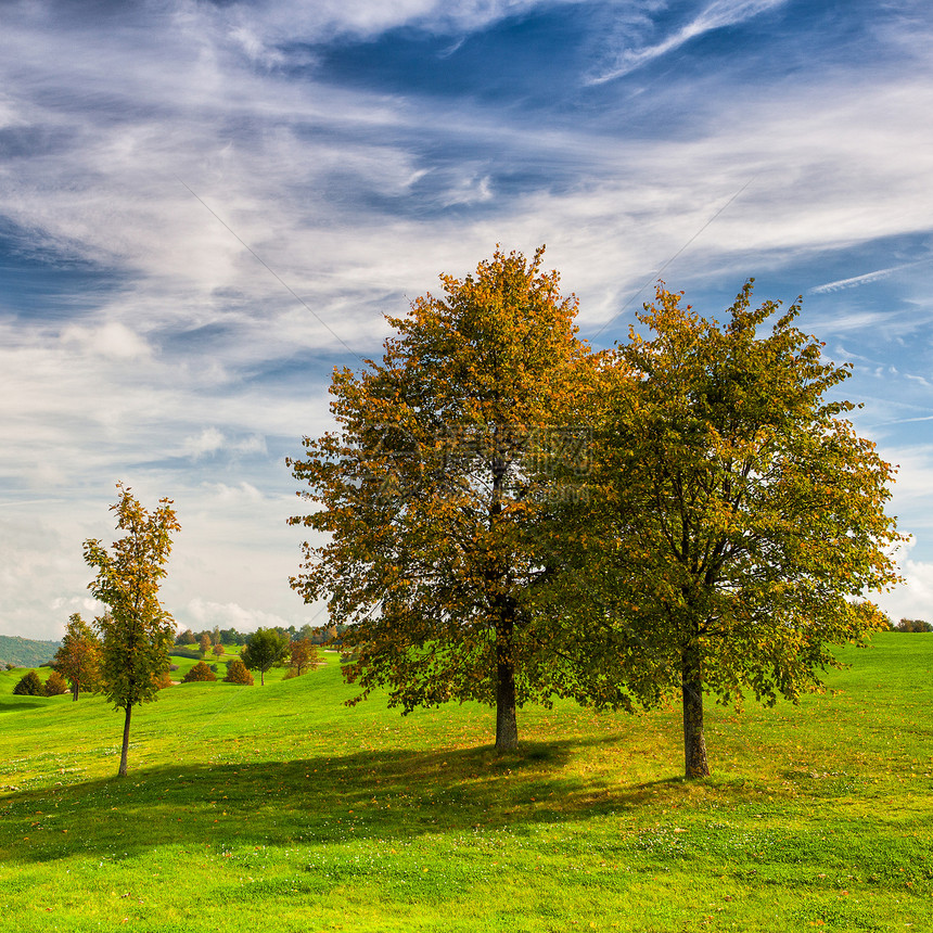 高尔夫球场的古典秋天风景球座闲暇奢华绿色推杆运动游戏场地圆圈俱乐部图片