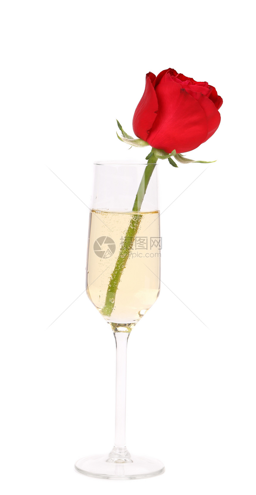 红玫瑰在香槟杯中图片