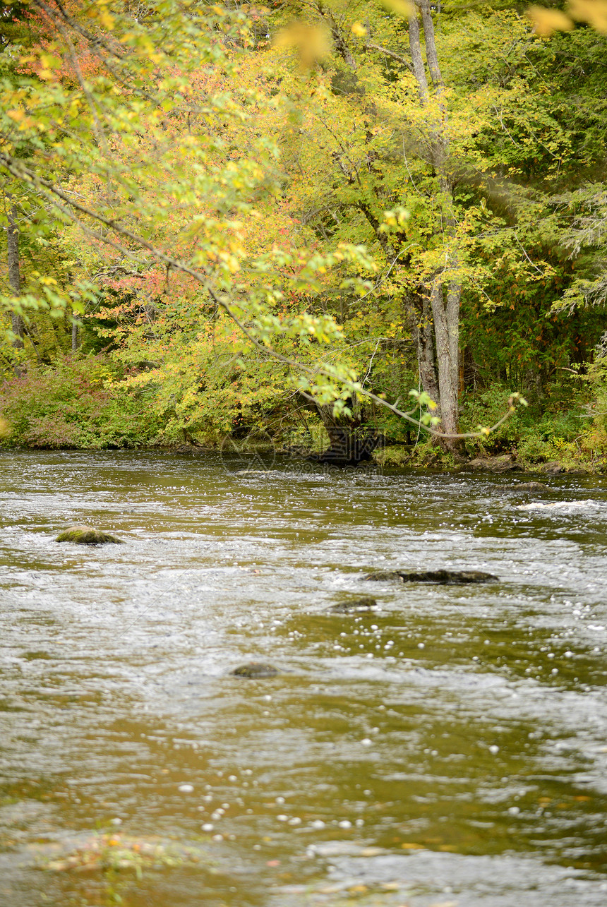 瀑布的风景与河流破坏活力树木绿色季节淡水图片