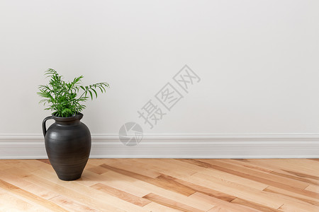 Amphora 绿色植物装饰一个房间背景图片