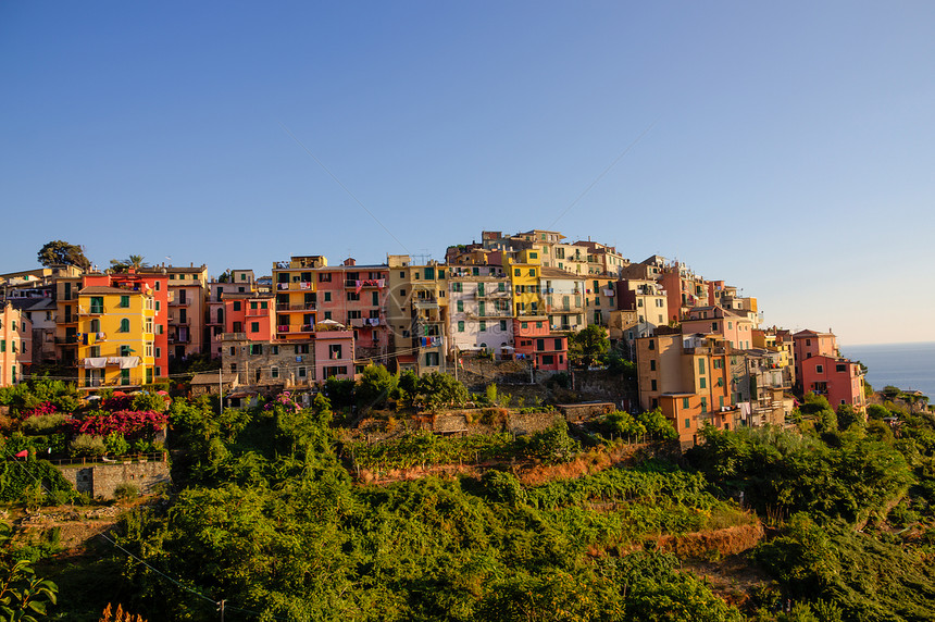 Corniglia 近距离图片图片