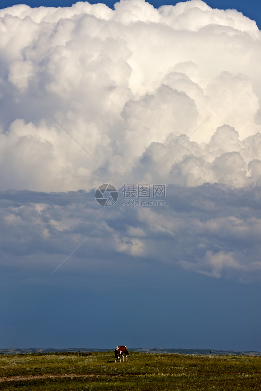 平原风暴云危险雷雨天空戏剧性草原风景天气图片