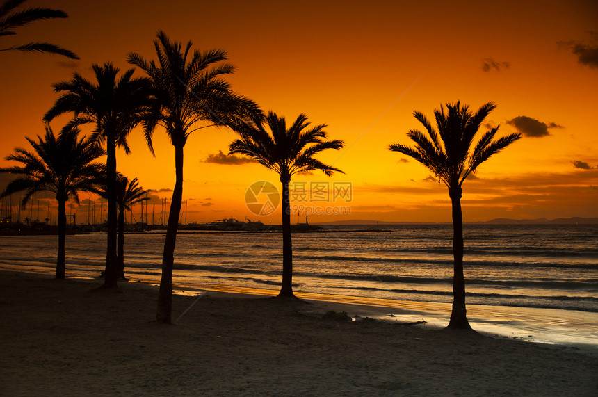 海滩日落棕榈橙子地平线旅行天堂异国太阳假期热带情调图片