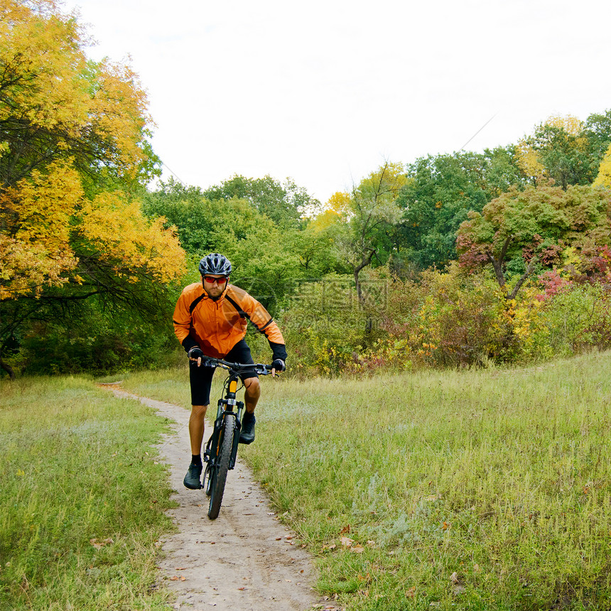 赛车员在美丽的秋季森林中骑自行车运动天空骑士娱乐男性爬坡橙子下坡乐趣男人图片