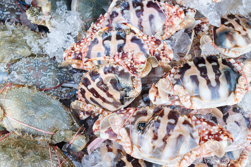 冰上新鲜的螃蟹烹饪市场海洋贝类海鲜用餐午餐美食甲壳营养图片