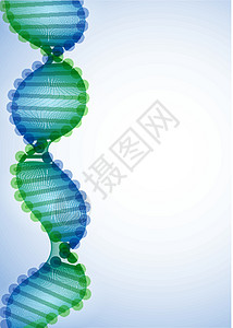 DNA分子背景技术蓝色原子生活艺术保健药品细胞宏观染色体背景图片