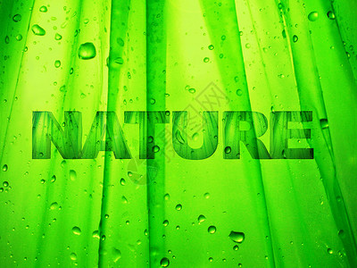 自然绿色生态环境水滴全球背景图片