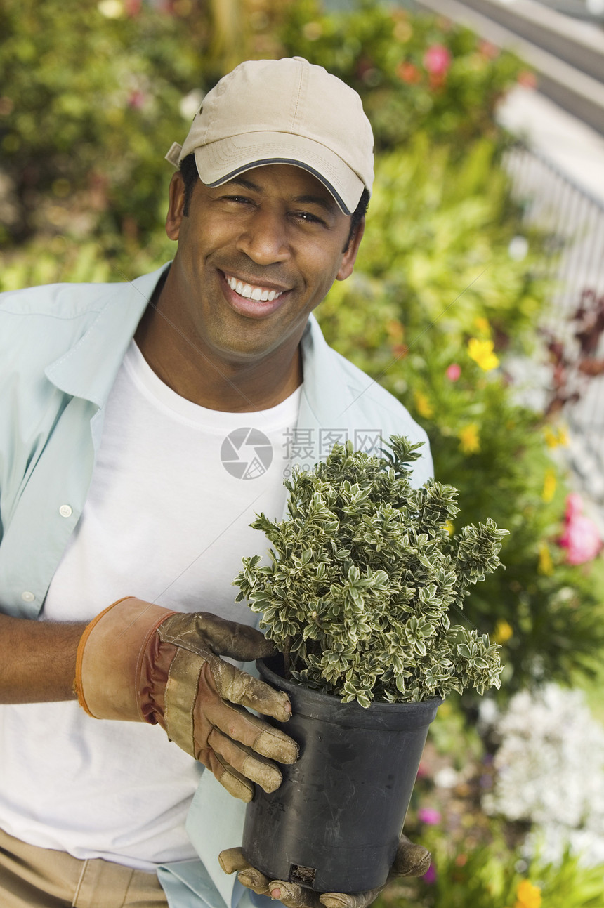 一名在花园工作的非裔美国人男子的肖像图片