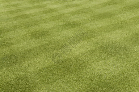 足球场画幅足球摄影草地格纹绿色运动背景图片