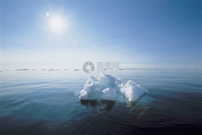 漂浮在海洋中的冰图片