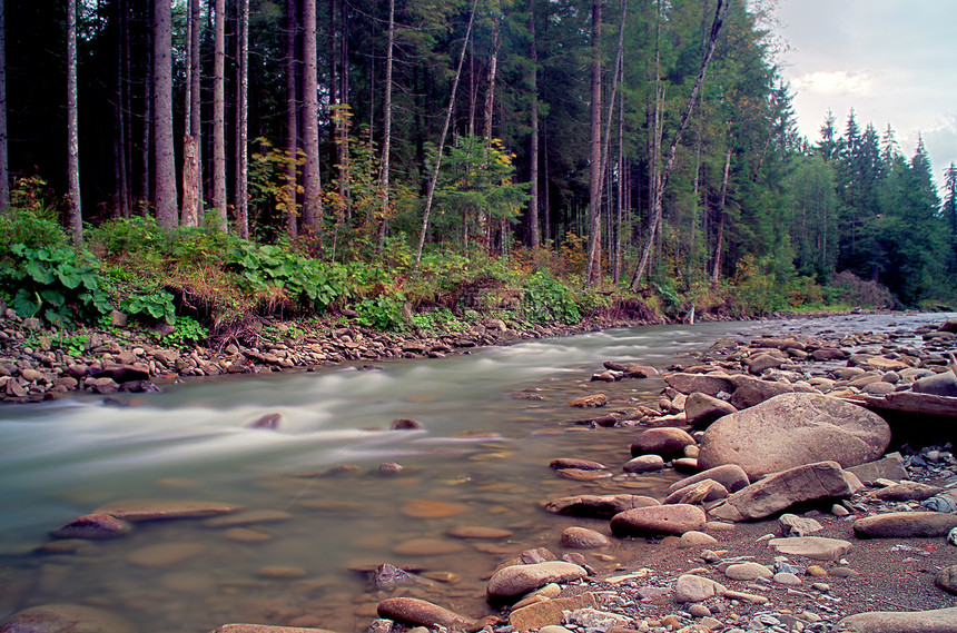 喀尔巴阡山流水流溪流运动森林环境热带阳光风景荒野叶子公园图片