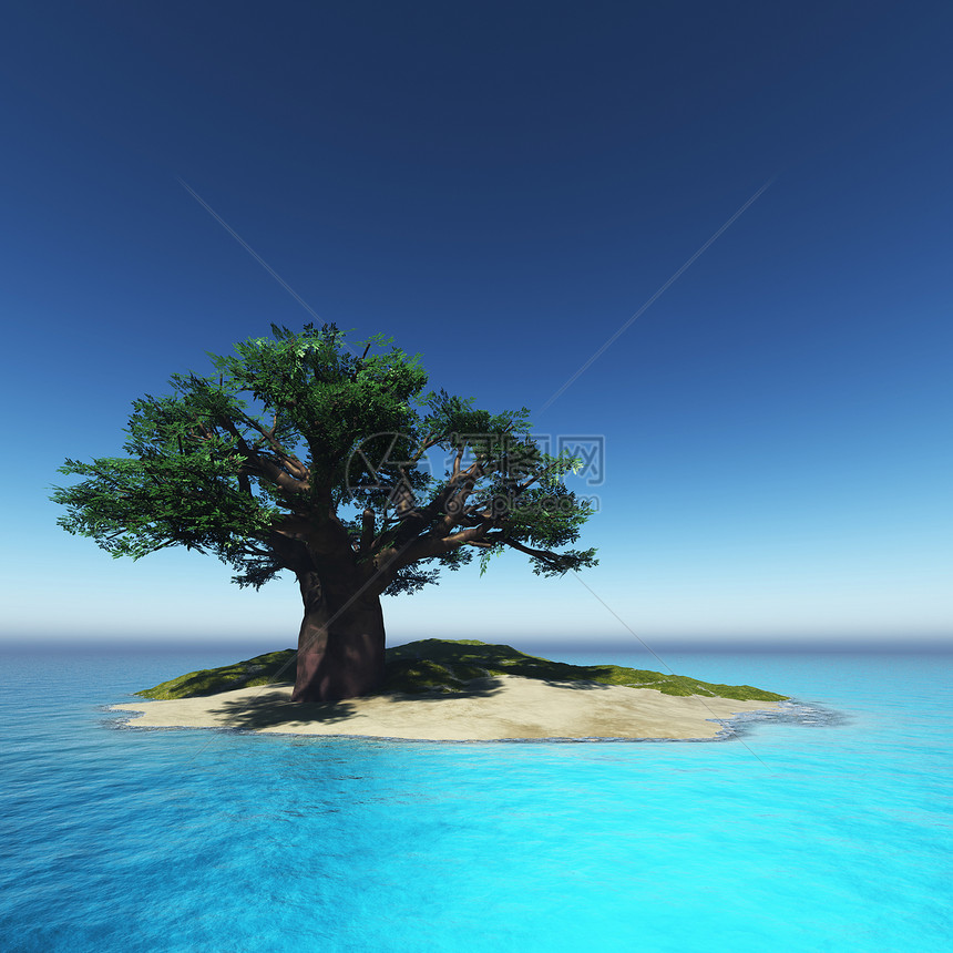 岛上和海边的树上图片