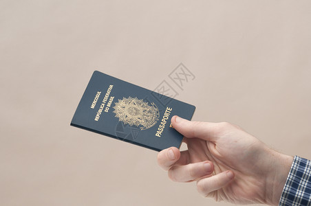 巴西护照文档出生出生地旅行国际游客邮票权利移民身份蓝色的高清图片素材
