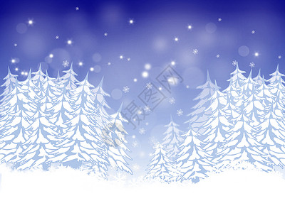 蓝色冷杉寒冷的十二月高清图片