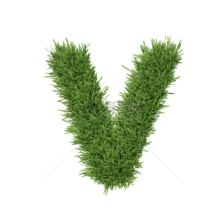 以草草制成的字母字母草地植物数学艺术草皮绿色植物地球白色环境数字图片