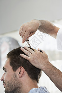 男人在理发店的理发师剪头发时商业高清图片素材
