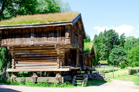 颤抖倾倒房子挪威传统木木木原木屋 屋顶上有草草背景