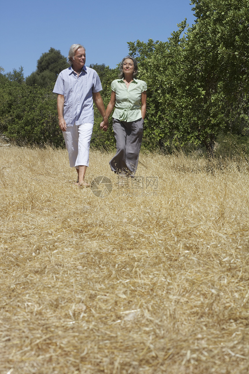 成年夫妇的全长手握手在田间行走图片