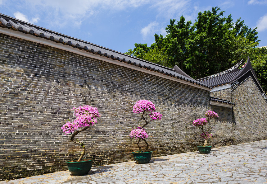 传统中国古代建筑结构Name植物建筑学寺庙房子花盆入口天空石头蓝色花园图片