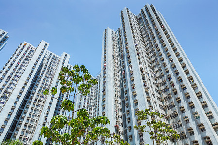 香港的公寓楼大楼市中心居所民众建筑房屋人口住房住宅窗户公共居所高清图片素材