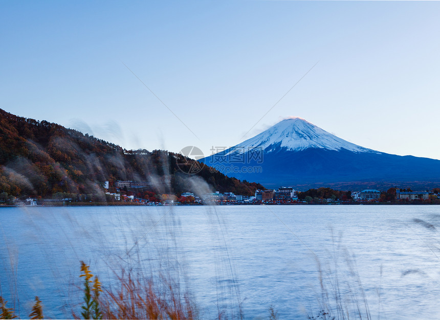 日本富士山公吨树枝火山植物顶峰图片
