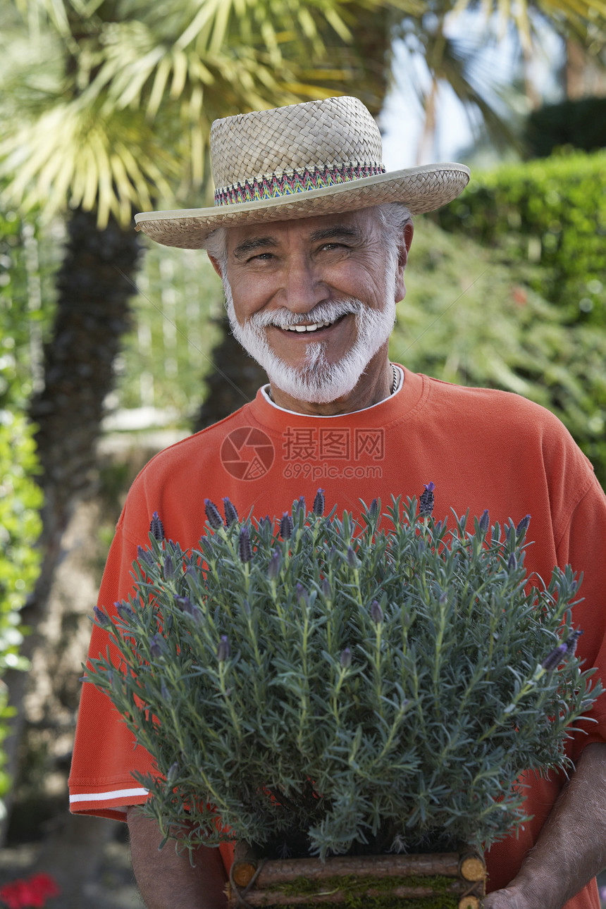 一位快乐的长者拿着陶植植物的肖像图片