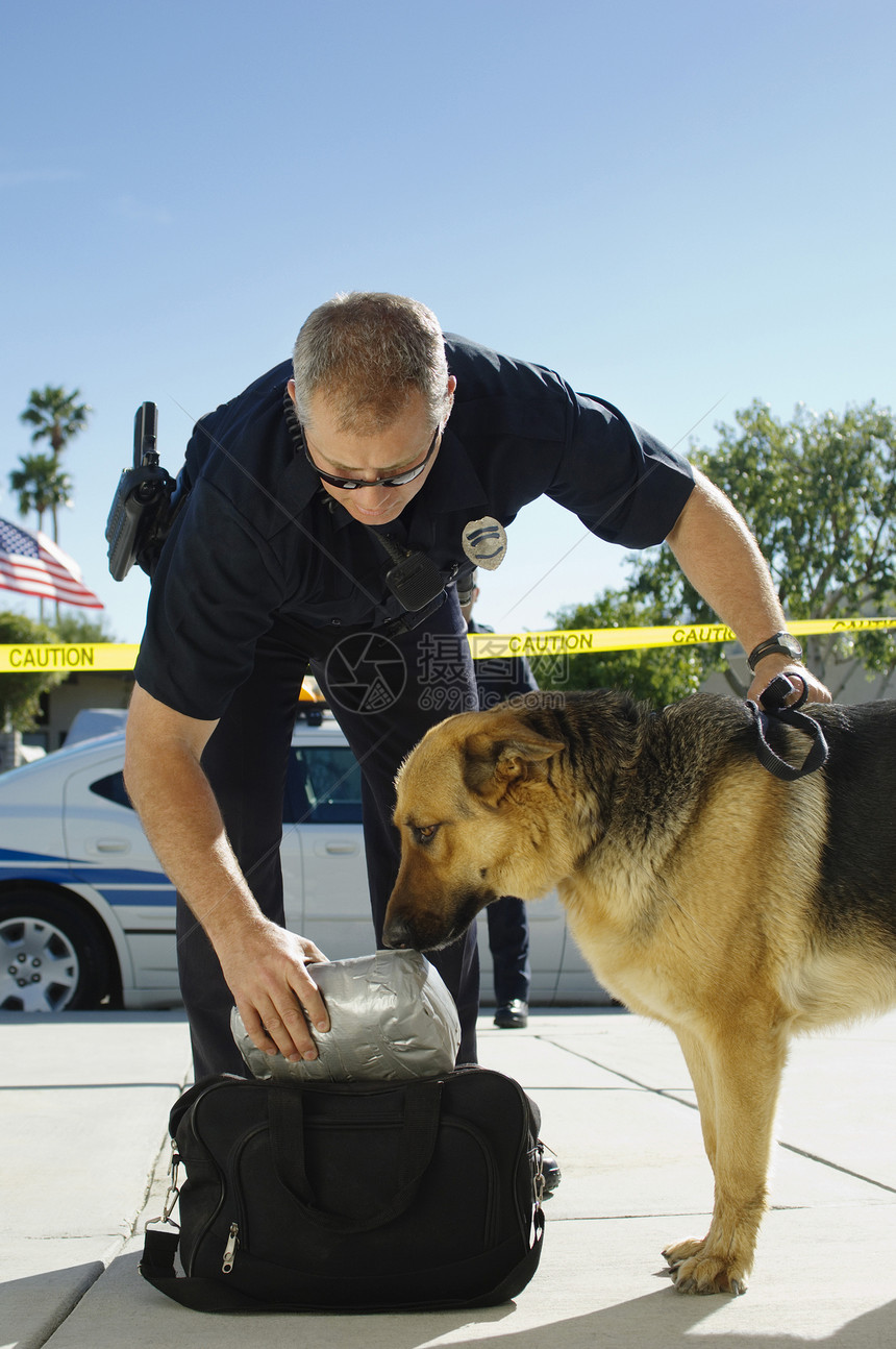 受过训练的狗在犯罪现场与警官一起嗅口袋图片