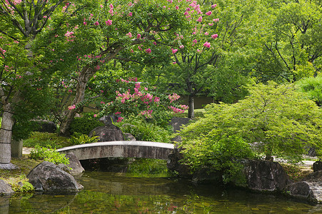 古石桥果子园的石桥横跨溪流风景植物花园文化树叶绿色天桥树木行人巨石背景
