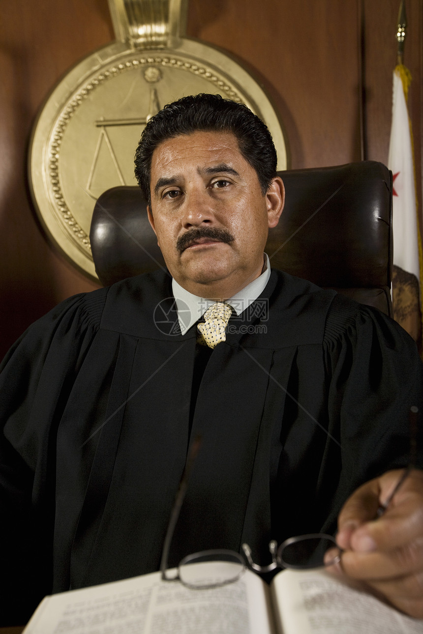 法庭肖像法官裁剪眼镜法律命令半身法院权威法庭室沉思黑发图片