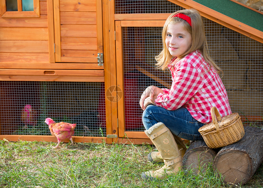 养鸡场有鸡鸡的农牧业女农民孩子母鸡压痛牧场主鸡舍饲养员小鸡篮子眼睛栖息地图片