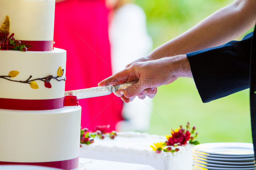切蛋糕接待处新郎新娘接待婚宴派对糖果食物甜点白色婚礼图片
