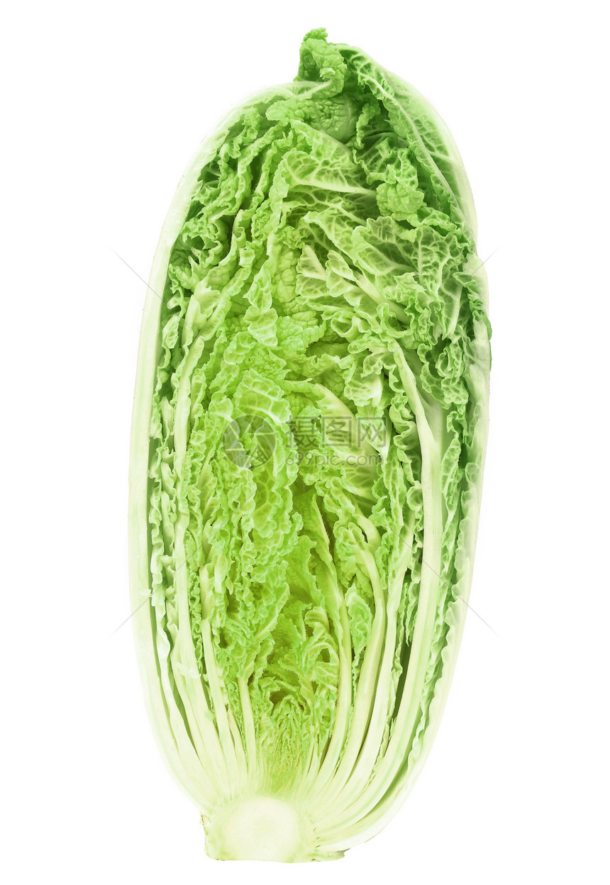 新鲜中国卷心菜菜单生产沙拉花园绿色植物低脂肪食物饮食蔬菜剪裁图片