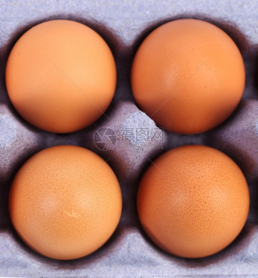 鸡蛋盒中四个褐蛋农场白色纸盒家禽团体盒子生活棕色纸板蛋壳图片
