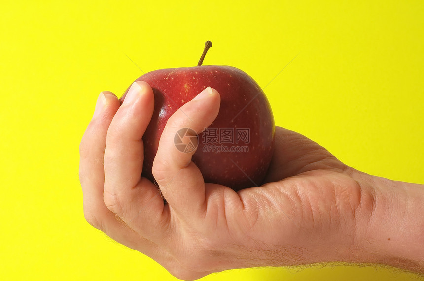 手头上的苹果采摘饮食药品概念食物减肥圣经果实红手水果图片