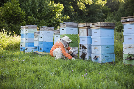 波罗海蜜蜂养蜂员 传蜂箱生活蜂窝蜂房服装爱好田园衣服养蜂养蜂人服饰背景