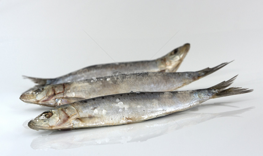 沙丁营养食物海鲜健康饮食图片
